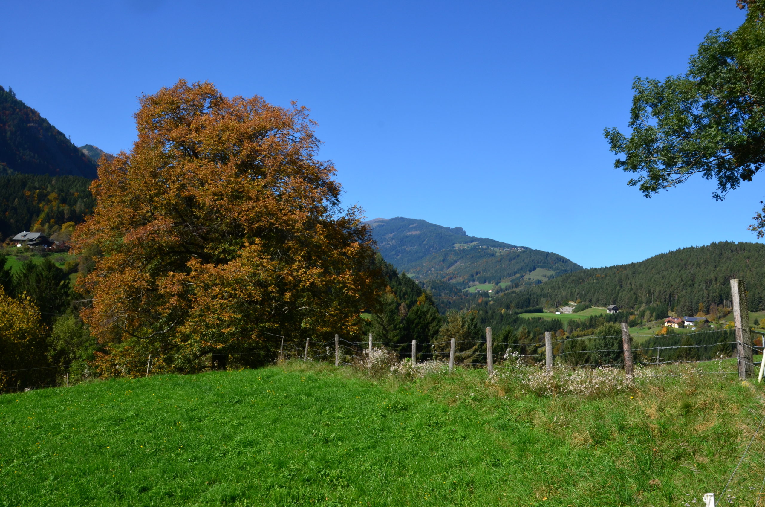 Landschaftsbild Stockenboi